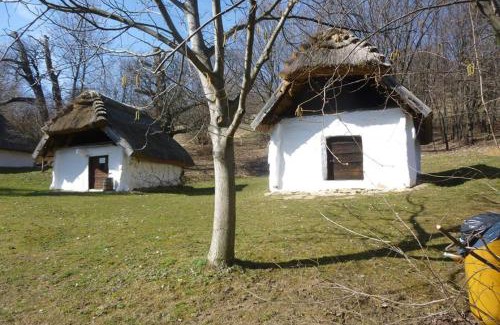 Cak Apartment | Discover Vadszőlő Vendégház: Top-Rated Family Retreat