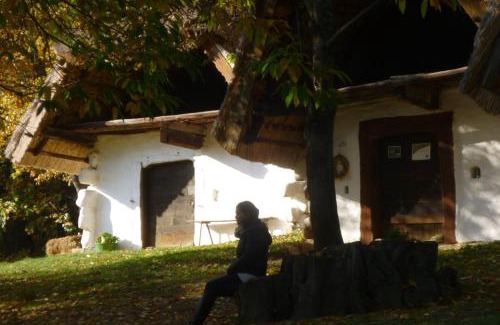 Cak Apartment | Discover Vadszőlő Vendégház: Top-Rated Family Retreat