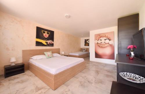 Sacele House | Discover Vadul Chiquita: Oceanfront Pet-Friendly Retreat