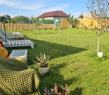 Sacele House | Discover Vadul Chiquita: Oceanfront Pet-Friendly Retreat