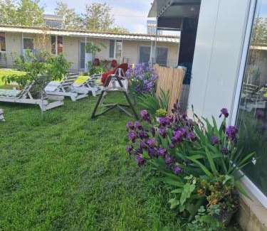 Sacele House | Discover Vadul Chiquita: Oceanfront Pet-Friendly Retreat