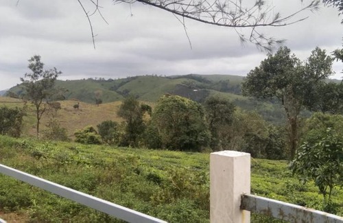 Elappara Villa | Vagamon Hill Palace Resort: Ideal for Families and Pets