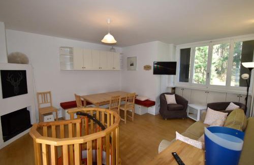 Campo Carlo Magno Apartment | Discover Vagliana Apartment: Pet and Child Friendly Retreat