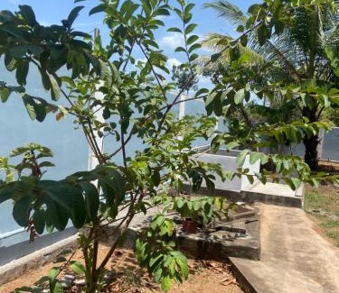 Vavuniya North Villa | Vai House