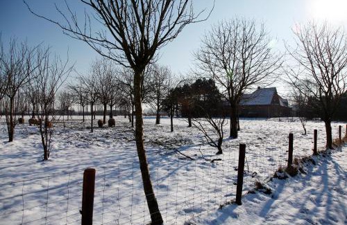 Loenhout Apartment | Pet-Friendly Getaway at Vakantie Appartement De Sneppelhoeve
