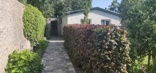 De Cocksdorp House | Pet-Friendly Vakantiebungalow Texel with 9.3/10 Review Score
