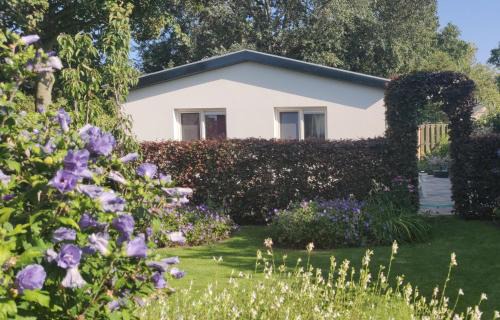 De Cocksdorp House | Pet-Friendly Vakantiebungalow Texel with 9.3/10 Review Score