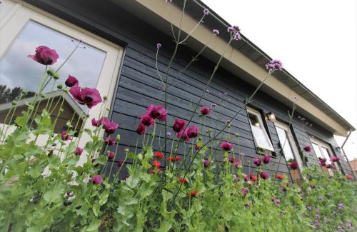 Doornenburg House | Bloom-Inn: A Perfect Family Getaway with Top Ratings