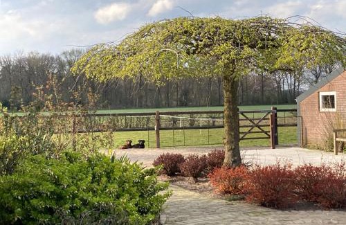 Merselo Apartment | Family-Friendly Vakantiehuisje Opdekamp with Top Reviews