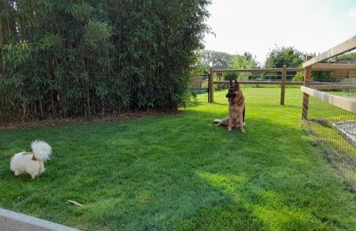 Scheldewindeke House | Cozy Vakantiehuisje 't Morehof: Pet & Child Friendly Stay