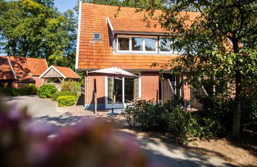Nutter Resort | Relax at Vakantiepark de Witte Berg with Oceanfront Views