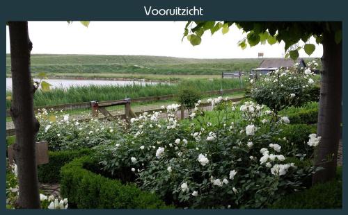 Ellewoutsdijk House | Oceanfront Vakantiewoning Deltahof - Rated 9.6/10!