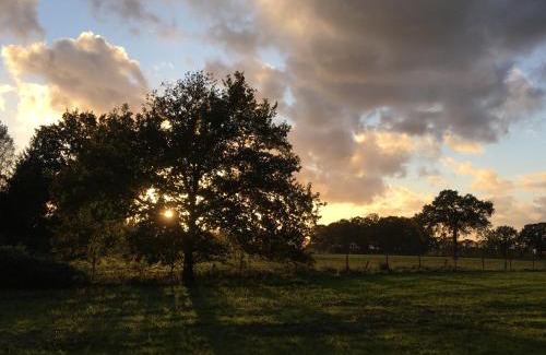 Grote Heide Villa | Discover Vakantiewoning Pelterheggen: 4-Star Family Retreat