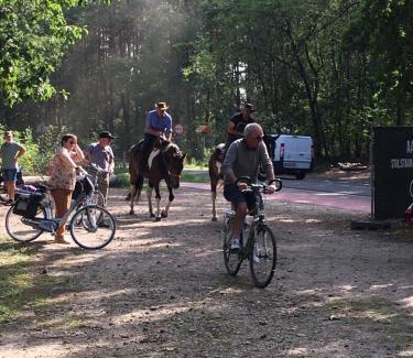Grote Heide Villa | Discover Vakantiewoning Pelterheggen: 4-Star Family Retreat