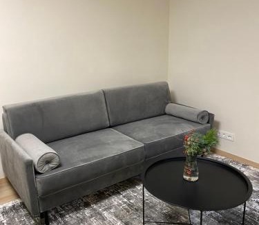 Panevezys Apartment | Kid-Friendly Vakariniai Apartamentai with Top Guest Ratings