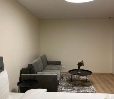 Panevezys Apartment | Kid-Friendly Vakariniai Apartamentai with Top Guest Ratings