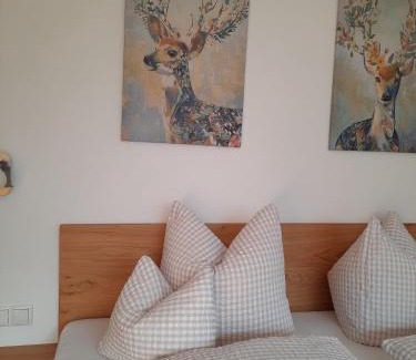 Partenen Apartment | Discover Valbella Appartements: Pet-Friendly Retreats