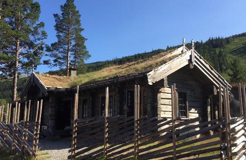 Nore og Uvdal Ski Chalet | Experience Valdes Laftet Tømmerhytte: Family & Pet Friendly