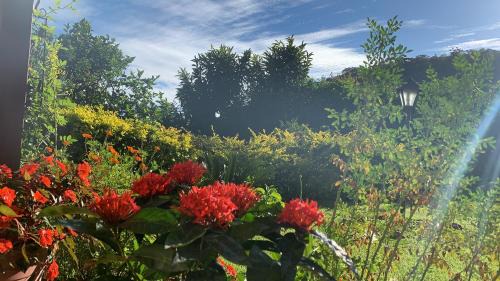 Araras House | Relax at Vale das Estrelas - Pet-Friendly Retreat in Araras