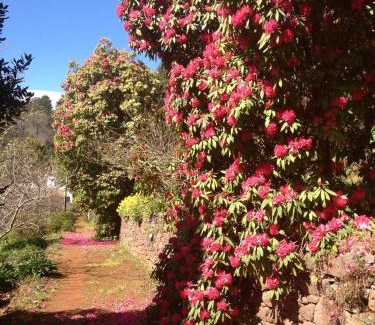 Camacha House | Valle Paraizo: 4-Star Stay with Pet-Friendly Amenities