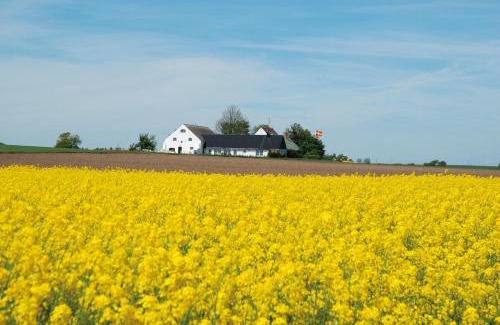 Loderup Bed & Breakfast | Vallebergaslätt: Pet-Friendly Retreat with Family Amenities