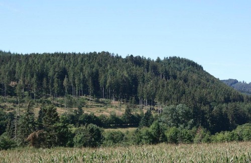 Glindfeld House | Relaxing Valley-View Holiday Home with Sauna in Medebach