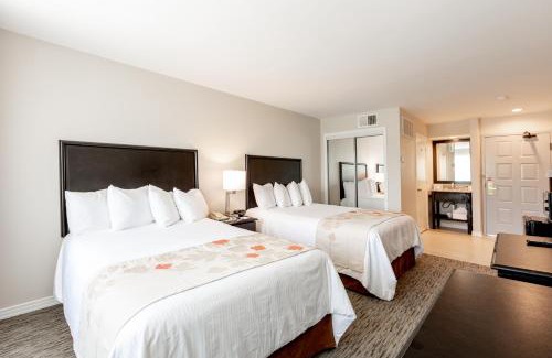 North Arlington Hotel | Comfortable Craigshire Suites - Arlington with Pool & Pets