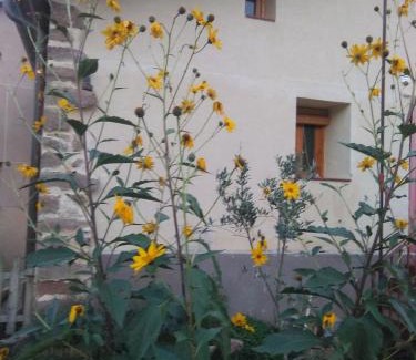 Berceo Apartment | Discover Valvanera 30: Guest Rated 8.3/10 for Value