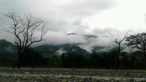Alipurduar Cabin | Budget-Friendly Stay at Vamoose Aaltapori with Breakfast