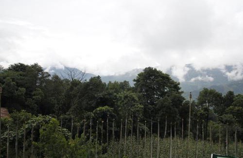 Namchi House | Discover Vamoose Gomethang Homestay with Breakfast Included