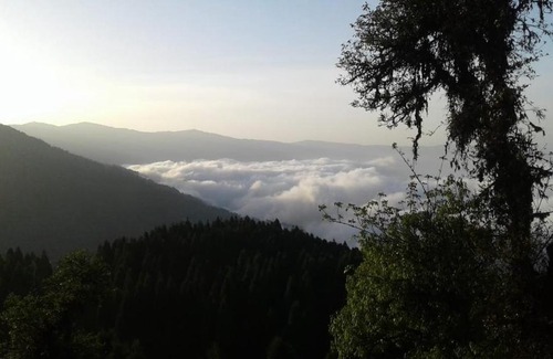 Ghoom House | Guest Rated 10/10: Vamoose Heema Homestay Awaits You