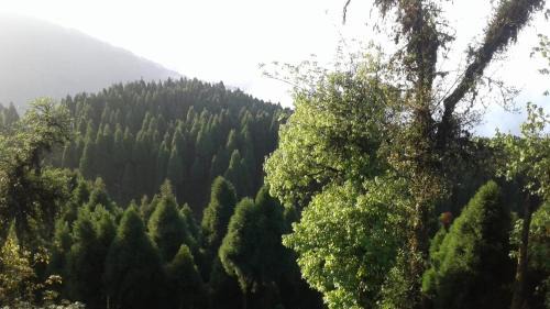Ghoom House | Guest Rated 10/10: Vamoose Heema Homestay Awaits You