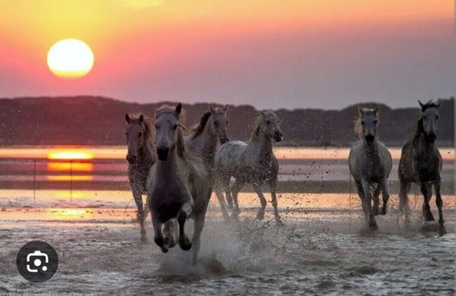 Millenaire House | Van set up in a PUBLIC parking lot that's good for repairs