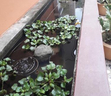 Vang Vieng House | DD Guest House: Highly Rated Stay with Pet-Friendly Perks