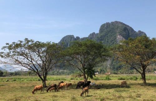 Vang Vieng Hotel | Serene Vang Vieng Romantic Resort with Pool & Breakfast