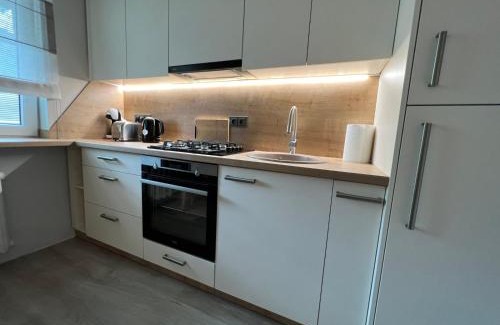 Siauliai Apartment | Family-Friendly Vanilės Home - Guest Rated 9.9/10