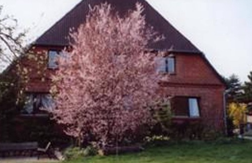 Kittlitz Apartment | Cozy Retreat: Hof am See with Ocean View & Pet Friendly