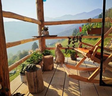Dartlo House | Vasos Home