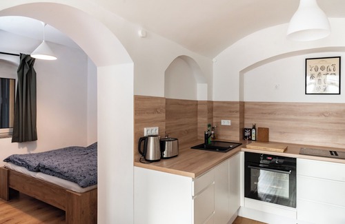 Leipziger Vorstadt Apartment | Vaulted apartment with terrace in Dresden Neustadt Your stylish temporary home