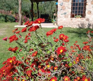 San Javier House | Experience Vayu at La Casa de Nanda with Oceanfront Bliss