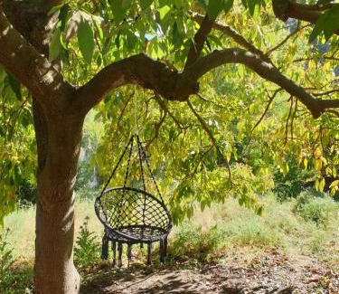 Coin Bed & Breakfast | Eco-Friendly Retreat at Vegan Guesthouse Finca Pereila
