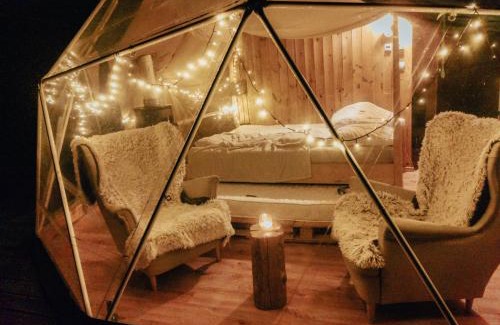 Miedzylesie Other | Eco-Friendly Vegan House: Pet & Child Friendly Retreat