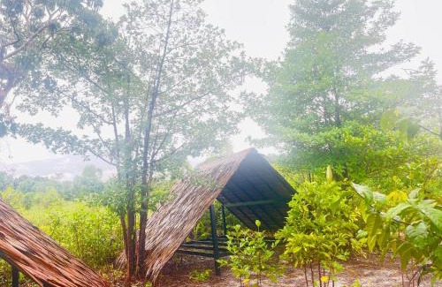 Koh Rong Other | Veha Koh Rong