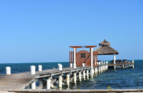 Caye Caulker House | Beachfront VeLento Level #9: Guest Favorite with Pool & More