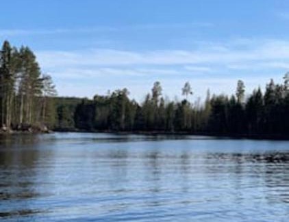 Kongsvinger House | Discover Finnskogen: Cozy Rimbila Mini Cabin Awaits