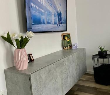 Tirgu Mures Apartment | Exceptional Velvet Studio: Family-Friendly Retreat