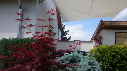 Kethely Apartment | Guest Rated: Vendég kuckó with Pet-Friendly Amenities