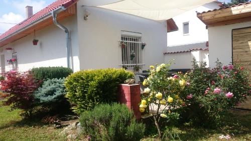 Kethely Apartment | Guest Rated: Vendég kuckó with Pet-Friendly Amenities