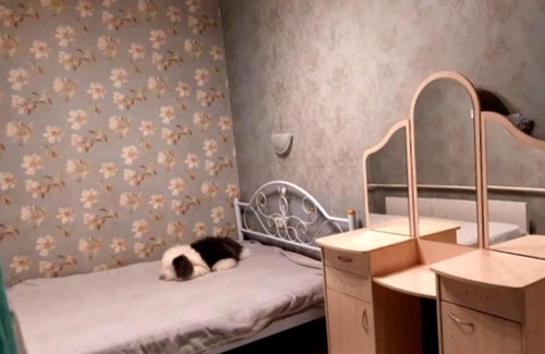 Cluj-Napoca House | Budget-Friendly Stay at Ventotexon Hotel: Pet & Child Friendly