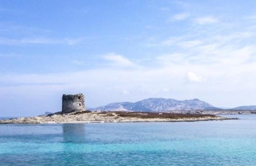 La Muddizza Apartment | Discover VENTUS DOMUS: Pet-Friendly Family Getaway
